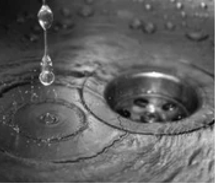 How to use a plunger for your clogged kitchen sink.